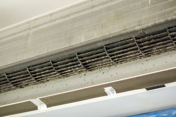Best General Air Duct Cleaning  in Beach Haven West, NJ
